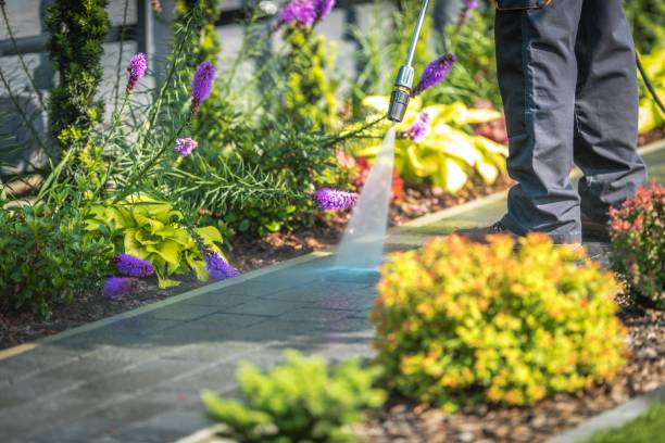 Best Machinery and Equipment Cleaning  in Carrboro, NC